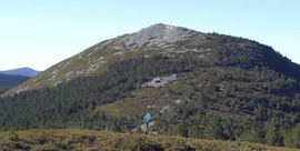 Valgañon ­ Ibaya (1.707 m) ­ Alto de las Neveras (1.833 m) ­ Torocuervo (1.934 m) ­ Fresneda de la Sierra