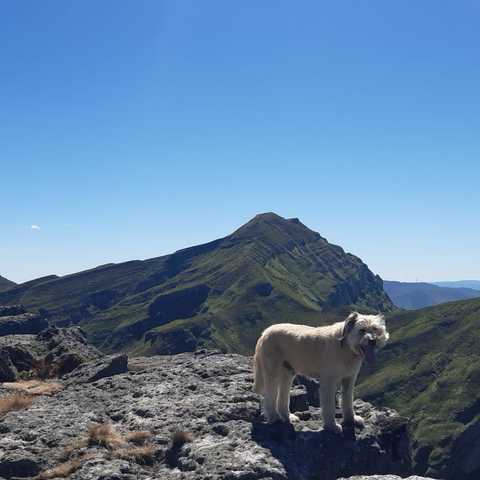 Travesía de día: Pto. Estaca de Trueba- Cubada Grande - Castro valnera - Pico La Miel - Portillo de Lunada [Burgos]